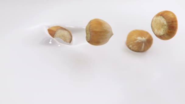 Nocciole Che Schizzano Nella Crema Liquida Super Slow Motion — Video Stock