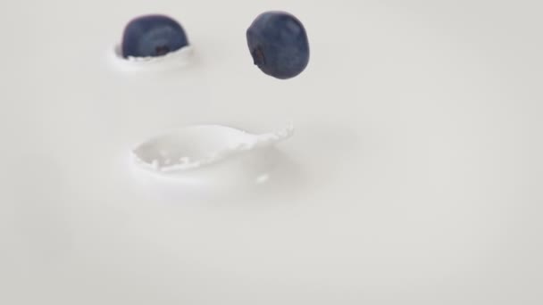 Bosbessen Vallen Melk Super Slow Motion — Stockvideo