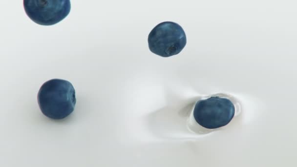 Blueberries Salpicando Creme Líquido Super Câmera Lenta — Vídeo de Stock