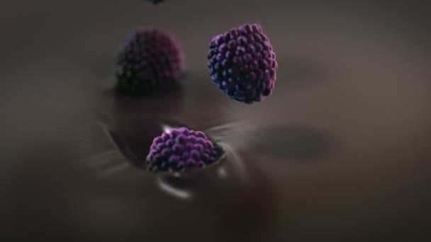 Blackberries Éclaboussant Dans Chocolat Noir Liquide Super Slow Motion — Video