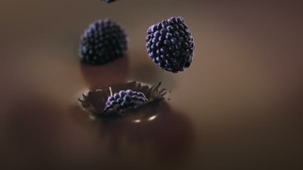 Blackberries Splashing Υγρή Μαύρη Σοκολάτα Super Αργή Κίνηση — Αρχείο Βίντεο