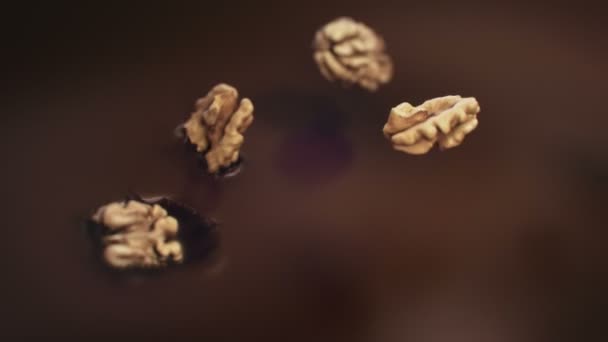 Noix Éclaboussant Dans Chocolat Noir Liquide Super Slow Motion — Video