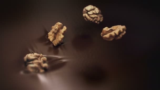 Καρύδια Splashing Υγρή Μαύρη Σοκολάτα Super Αργή Κίνηση — Αρχείο Βίντεο