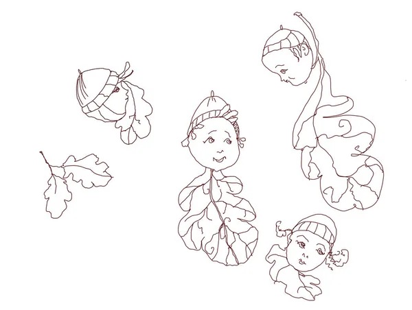 Meşe palamudu aile karakterleri hastalıkları