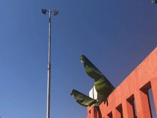 Işıklı gökyüzü, muz ağacı, turuncu çit, kontrastlı manzara