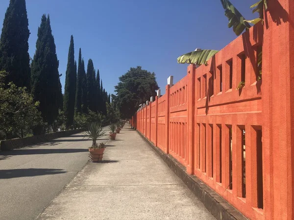 Turuncu çitli, güney ağaçlı, palmiyeli ve selvi ağaçlı yürüme yeri boş, kovan-19 döneminde hiç kimse yok.