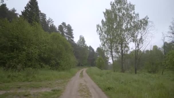 Rörelse Från Steadicam Grusväg Landsbygden Skogen Gröna Träd Gräs Flod — Stockvideo