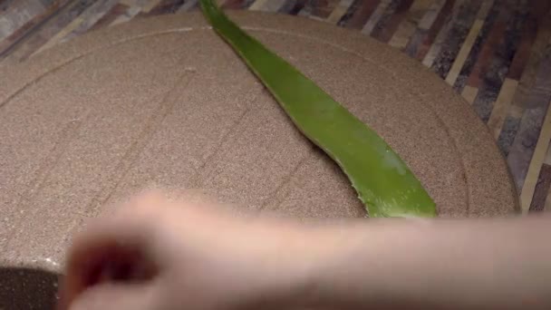La jeune fille pose de grandes feuilles vertes humides d'aloe Vera sur la surface de granit de pierre brune. Ferme là. Préparation de l'aloe vera 
