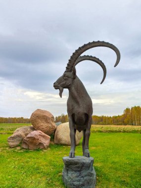 SERGEEVKA, RUSSIA - 8 Ekim 2020: Bir dağ keçisinin heybetli heykeli büyük taşların, sarı-yeşil ormanların ve yeşilliklerin arka planında büyük boynuzları olan bir dağ keçisi. Düşük bir açıdan çekiliyor.