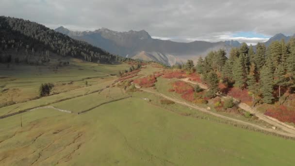 Prati Verdi Montagna Scenario Nella Regione Svaneti Georgia — Video Stock