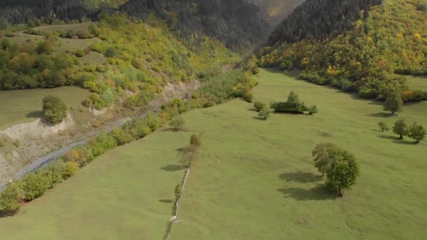 Gröna Ängar Svaneti Regionen Georgien — Stockvideo