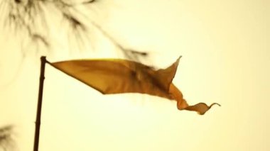 Kerala sahilinde dalgalı renkli bayrak