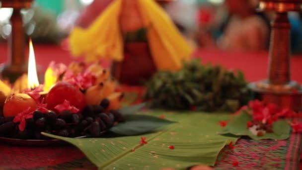 Cerimônia Casamento Ritual Casamento Hindu Tradicional Indiano Com Flores Vermelhas — Vídeo de Stock