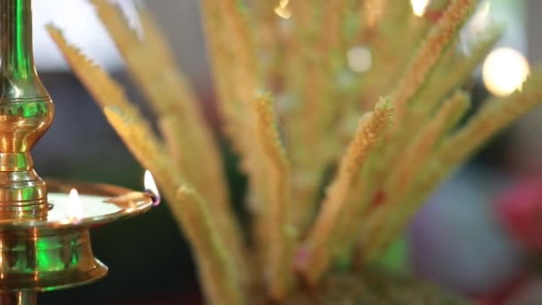 Cérémonie Mariage Rituel Mariage Hindou Indien Traditionnel Avec Fleurs Rouges — Video