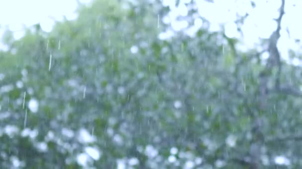 Goutte Eau Tombant Sol Nature Bokeh Background Raindrop Gouttes Éclaboussures — Video