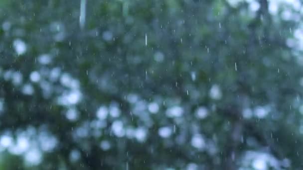 地面に落ちる水滴 自然のボケの背景 雨滴滴と水しぶき — ストック動画