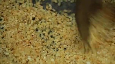 Ariyunda Kerala stili lezzetli akşam yemeği nasıl hazırlanır? Harika bir tadı var. Avalose Podi, Kızarmış pirinç tozu..