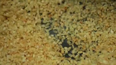 Ariyunda Kerala stili lezzetli akşam yemeği nasıl hazırlanır? Harika bir tadı var. Avalose Podi, Kızarmış pirinç tozu..