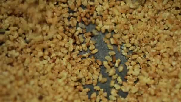 Jak Připravit Ariyunda Kerala Styl Chutné Lahodné Večerní Svačinka Úžasný — Stock video