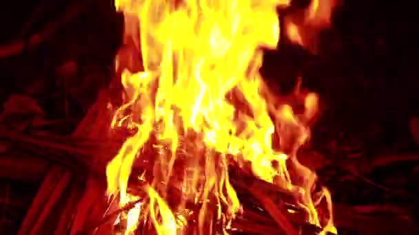 Coconut Leaf Fire Flames Black Background Blaze Fire Flame Texture Video By C Subinsailendran Gmail Com Stock Footage 382783040