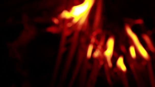 Coconut Leaf Fire Flames Black Background Blaze Fire Flame Texture — Stock Video