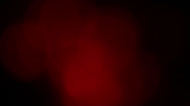 ココナッツの葉黒い背景に火の炎 炎の炎のテクスチャの背景 黒の背景に隔離された炎の閉じ込め 燃やせ 抽象的な炎の背景 テクスチャ — ストック動画