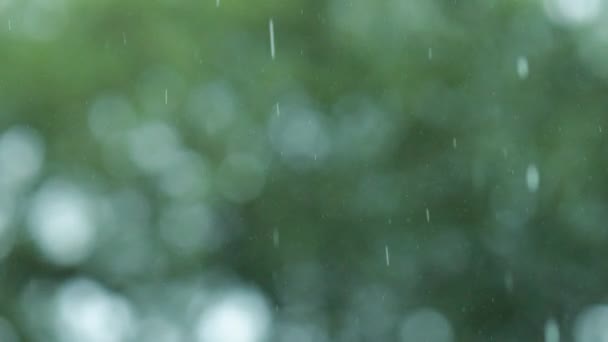 Kapka Vody Padající Zem Příroda Bokeh Pozadí Kapky Dešťové Kapky — Stock video