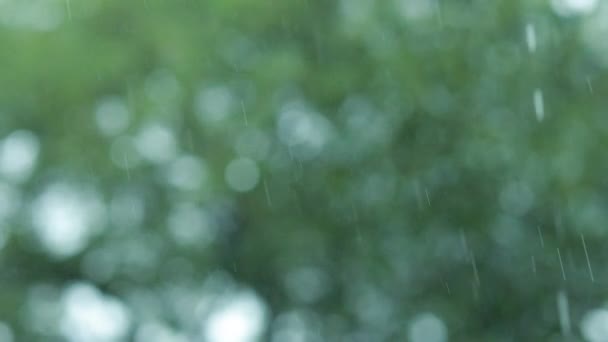 Goccia Acqua Che Cade Terra Natura Bokeh Background Rain Goccia — Video Stock