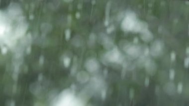 Yere düşen su damlası, doğa arka plan bokeh. Yağmur damlaları ve su sıçraması..