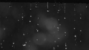 Yere düşen su damlası, doğa arka planda bokeh. Yağmur damlaları ve sıçramalar. Siyah arkaplan