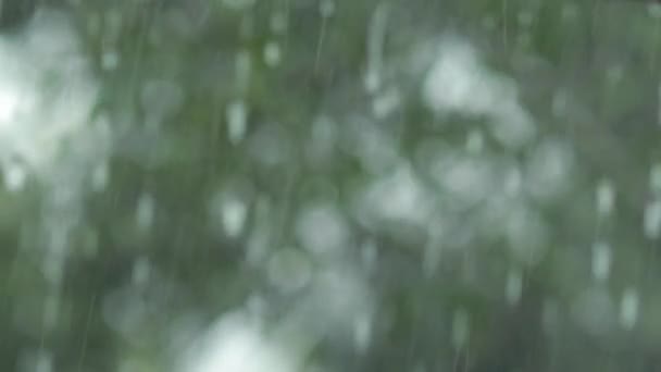 Goutte Eau Tombant Sol Nature Bokeh Background Raindrop Gouttes Éclaboussures — Video