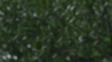 Yere düşen su damlası, doğa arka plan bokeh. Yağmur damlaları ve su sıçraması..