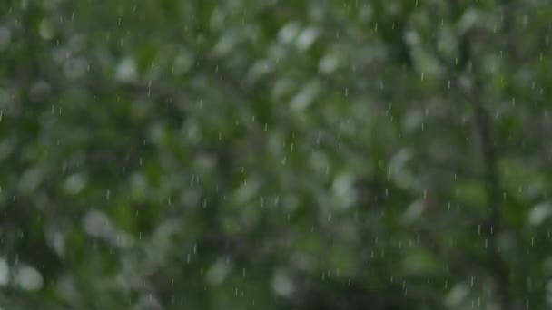 Gota Agua Cayendo Suelo Naturaleza Bokeh Background Raindrop Gotea Salpica — Vídeo de stock