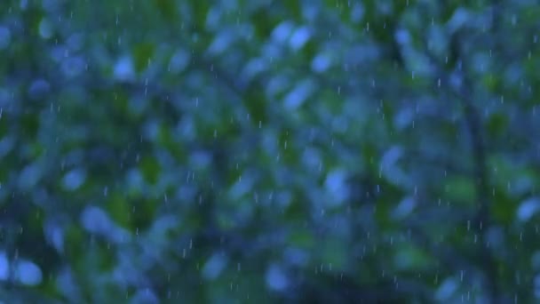 Wassertropfen Fallen Auf Den Boden Natur Bokeh Hintergrund Regentropfen Tropft — Stockvideo