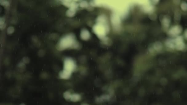Gota Agua Cayendo Suelo Naturaleza Bokeh Background Raindrop Gotea Salpica — Vídeo de stock