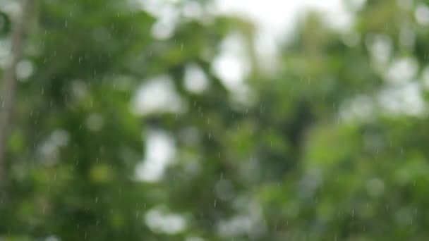 goutte d'eau tombant au sol, la nature bokeh background.raindrop gouttes et éclaboussures.