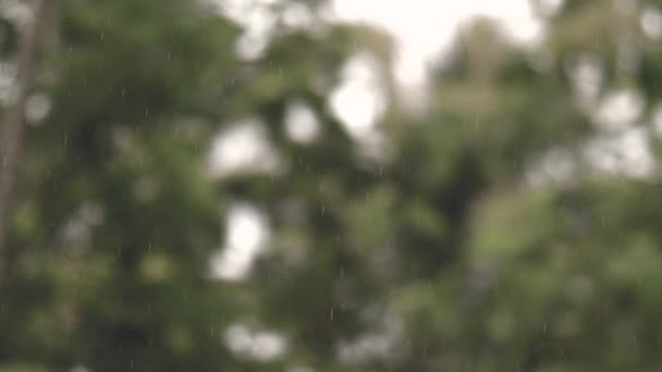 地面に落ちる水滴 自然のボケの背景 雨滴滴と水しぶき — ストック動画