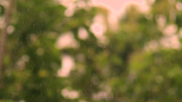 Goutte Eau Tombant Sol Nature Bokeh Background Raindrop Gouttes Éclaboussures — Video