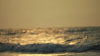 Okyanus Dalgaları Yuvarlanıyor - Mavi Gök Beyaz Kum ve Doğal Arkaplanlı Güzel Sahil