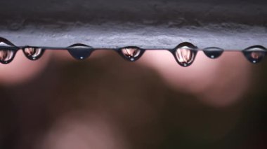 Güneşli yan evde Macro yağmur damlası videosu. Yağmur damlalarının yakın plan görüntüsü. Yere düşen su damlası, doğa bokeh arka plan.