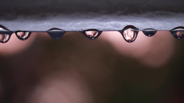 Macro Raindrop Vídeo Casa Lado Ensolarado Close Gotas Chuva Gota — Vídeo de Stock