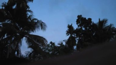 Arka planda doğal yeşil bitkiler manzarası, ekoloji, taze doğa konsepti kullanılarak metin için kopyalama alanı bulunan bulanık yeşil arkaplan üzerindeki yeşil yaprağın yakın doğa görünümü.