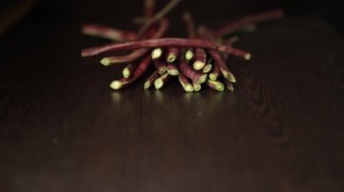 Uzun fasulyeyi kes. Kadın aşçı sebze doğruyor, öğle yemeği için taze salata pişiriyor uzun fasulye ya da yılan fasulyesi vejetaryen mutfağı - kızartılmış organik uzun fasulye tarifleri