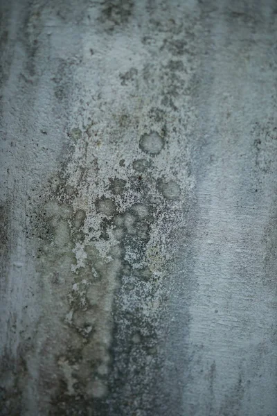 Beyaz, eski beton duvarlı arka planlar desenli. Soyut bağ dokusu. Çatlaklar, kırıklar, lekeler. Çatlaklar, hasar.