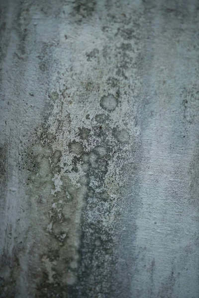 Белые Старые Цементные Стены Бетонные Фоны Текстурированные Абстрактная Винтажная Текстура Стоковое Фото