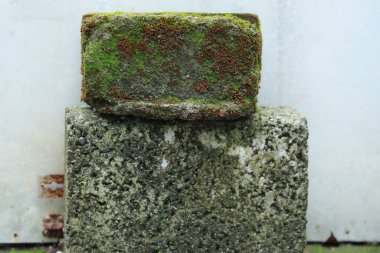 Beyaz, eski beton duvarlı arka planlar desenli. Soyut bağ dokusu. Çatlaklar, kırıklar, lekeler. Çatlaklar, hasar.