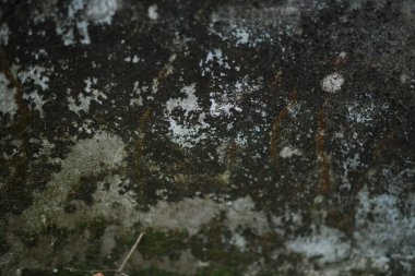 Beyaz, eski beton duvarlı arka planlar desenli. Soyut bağ dokusu. Çatlaklar, kırıklar, lekeler. Çatlaklar, hasar.