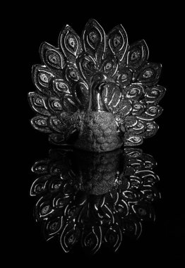 Siyah arka planda izole edilmiş güzel bir tavus kuşu.