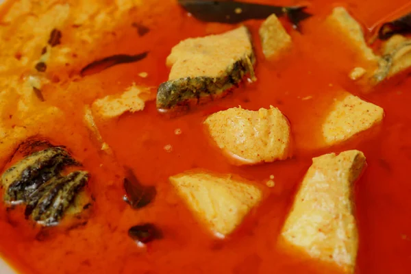 Spicy Tasty Indian Fish Kari Recipe — Stok Foto