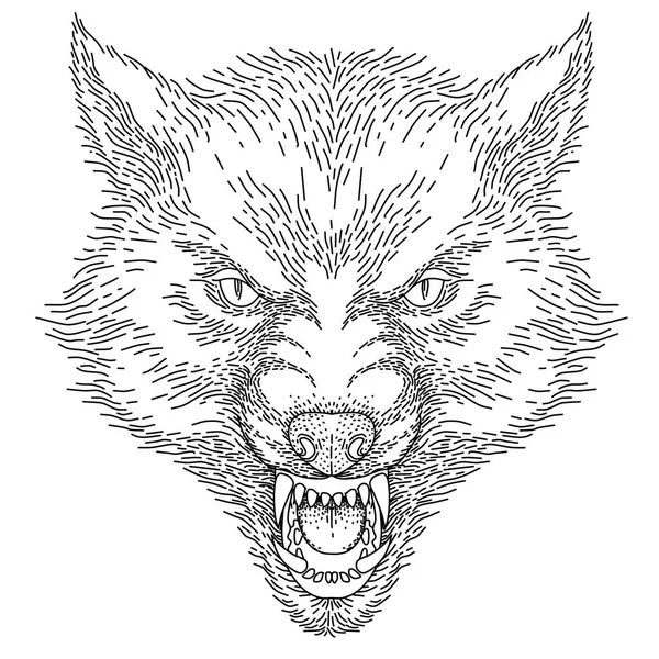 Hoofd Van Boos Brullende Wolf Zwarte Illustratie Geïsoleerd Een Witte — Stockvector